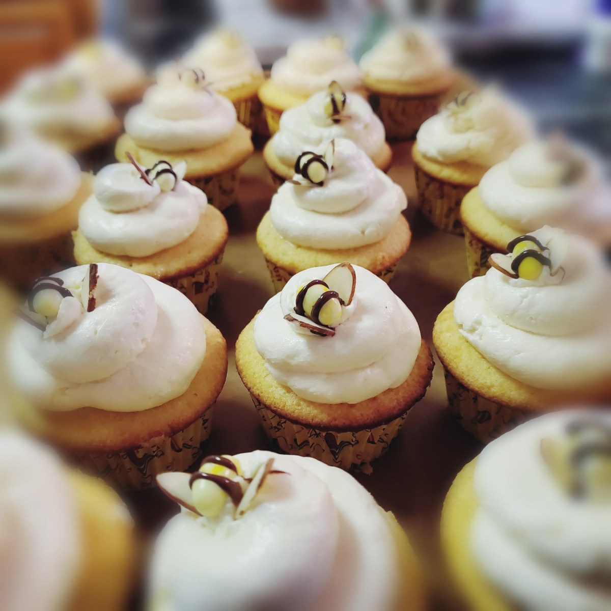 Bee Still My&nbsp;Heart